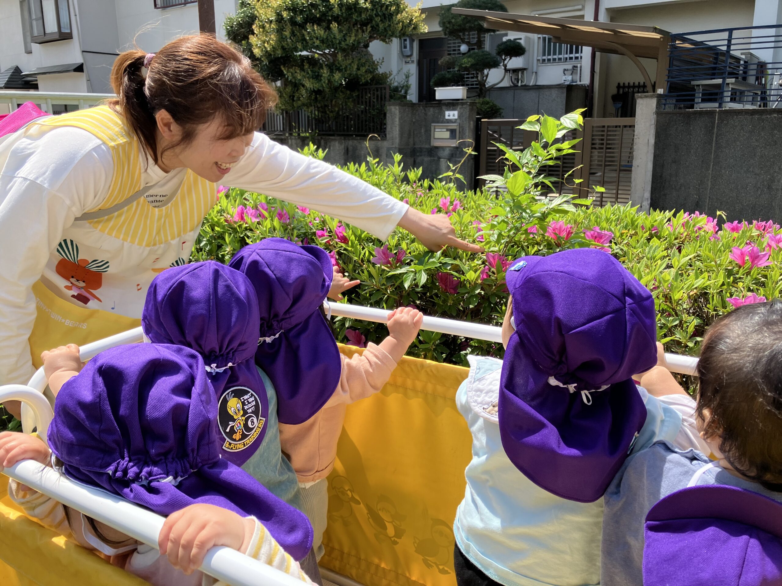かわいいお花をみつけたよ🌷(ひよこ組：0歳児)