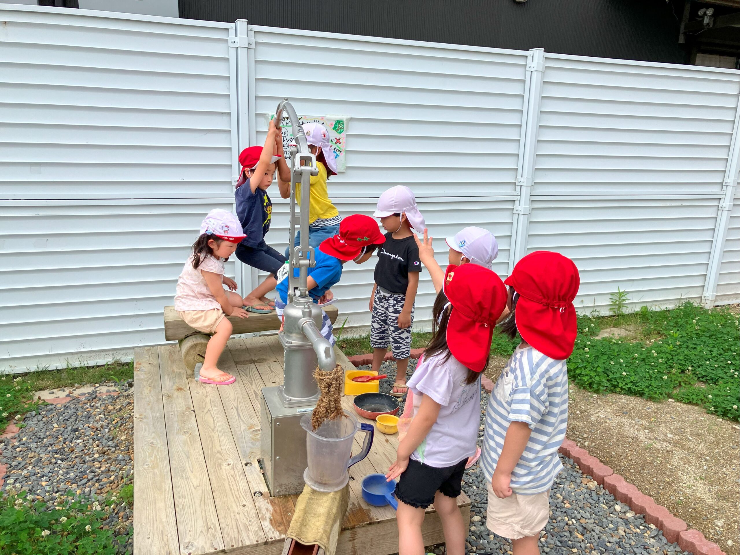 ガチャポンプを動かして水を出してみよう！(さくら組：４歳児)