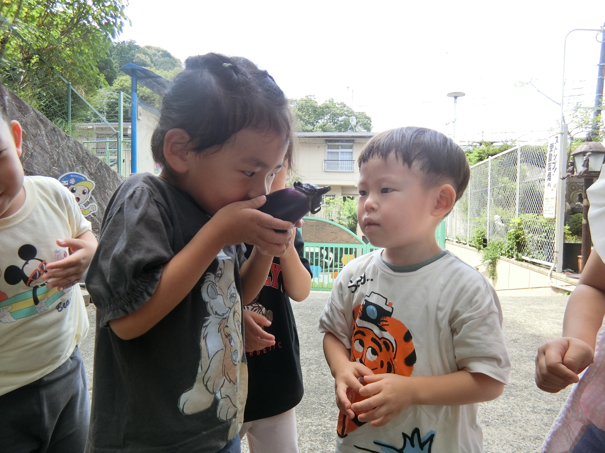 どんな匂いがするかな？（たんぽぽ、３歳児）