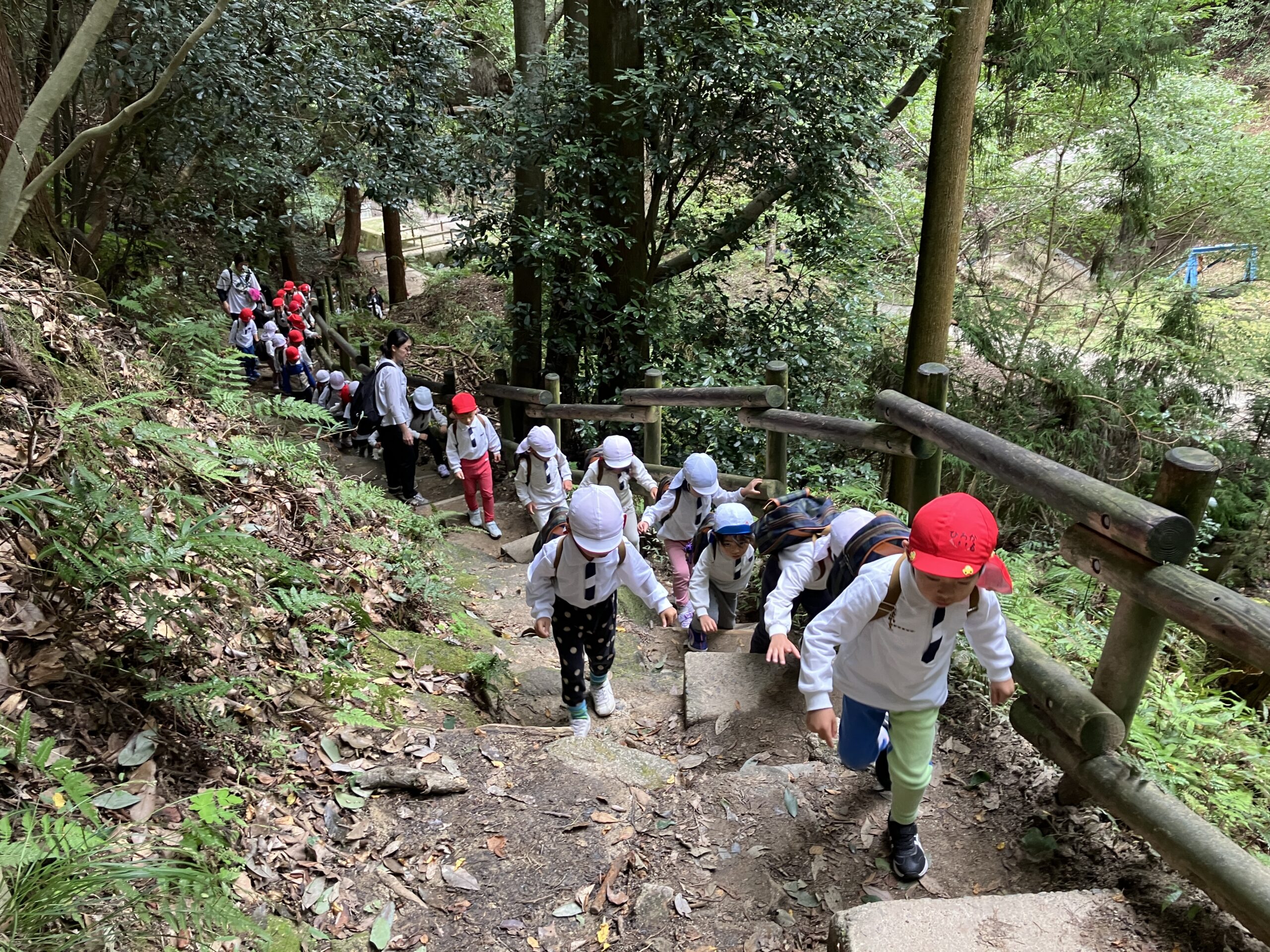 さくら・ゆり組で大文字登山に行きました🍂(さくら組：４歳児)