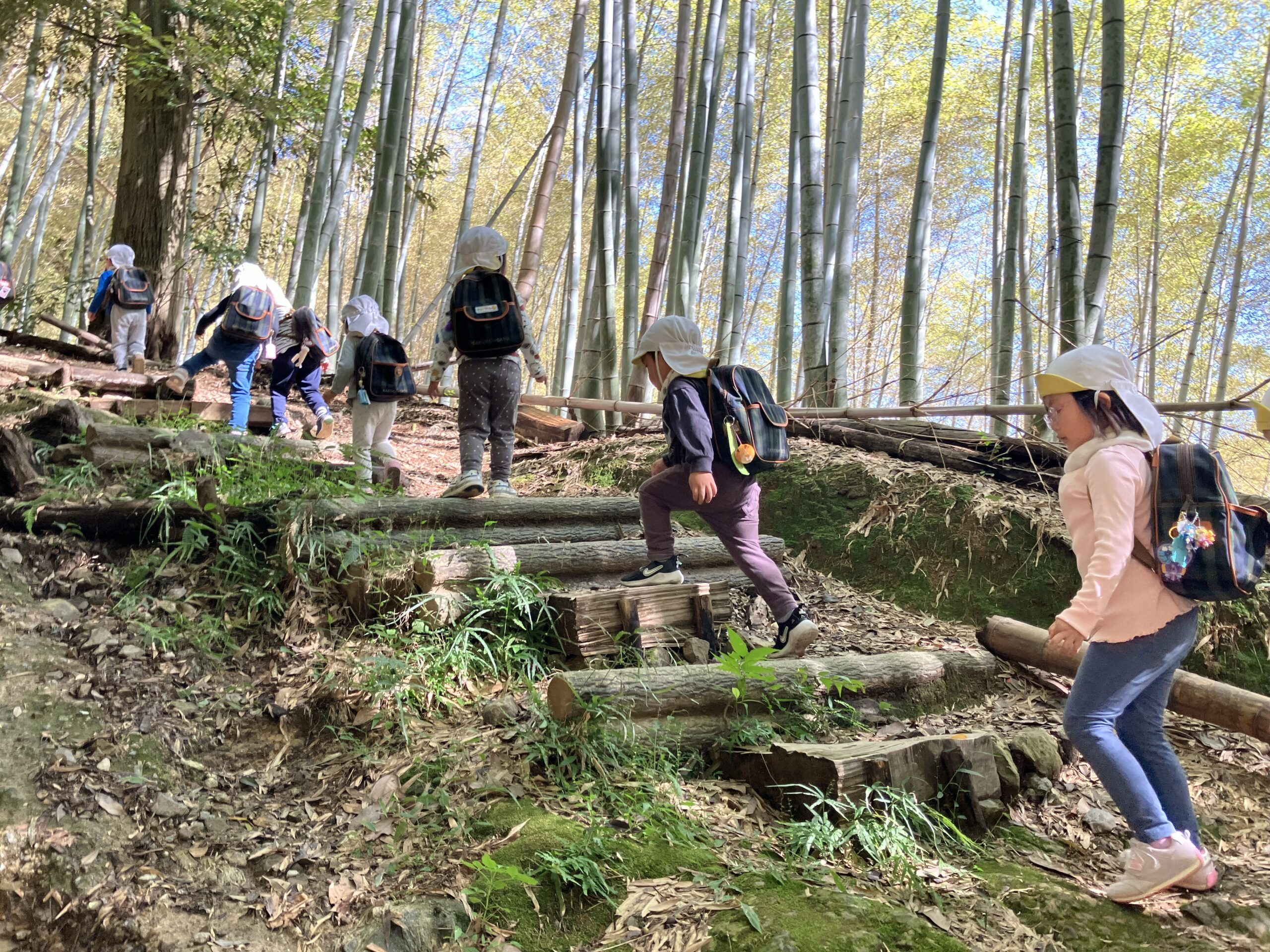 天王山にお散歩へ行きました★(たんぽぽ組：3歳児)