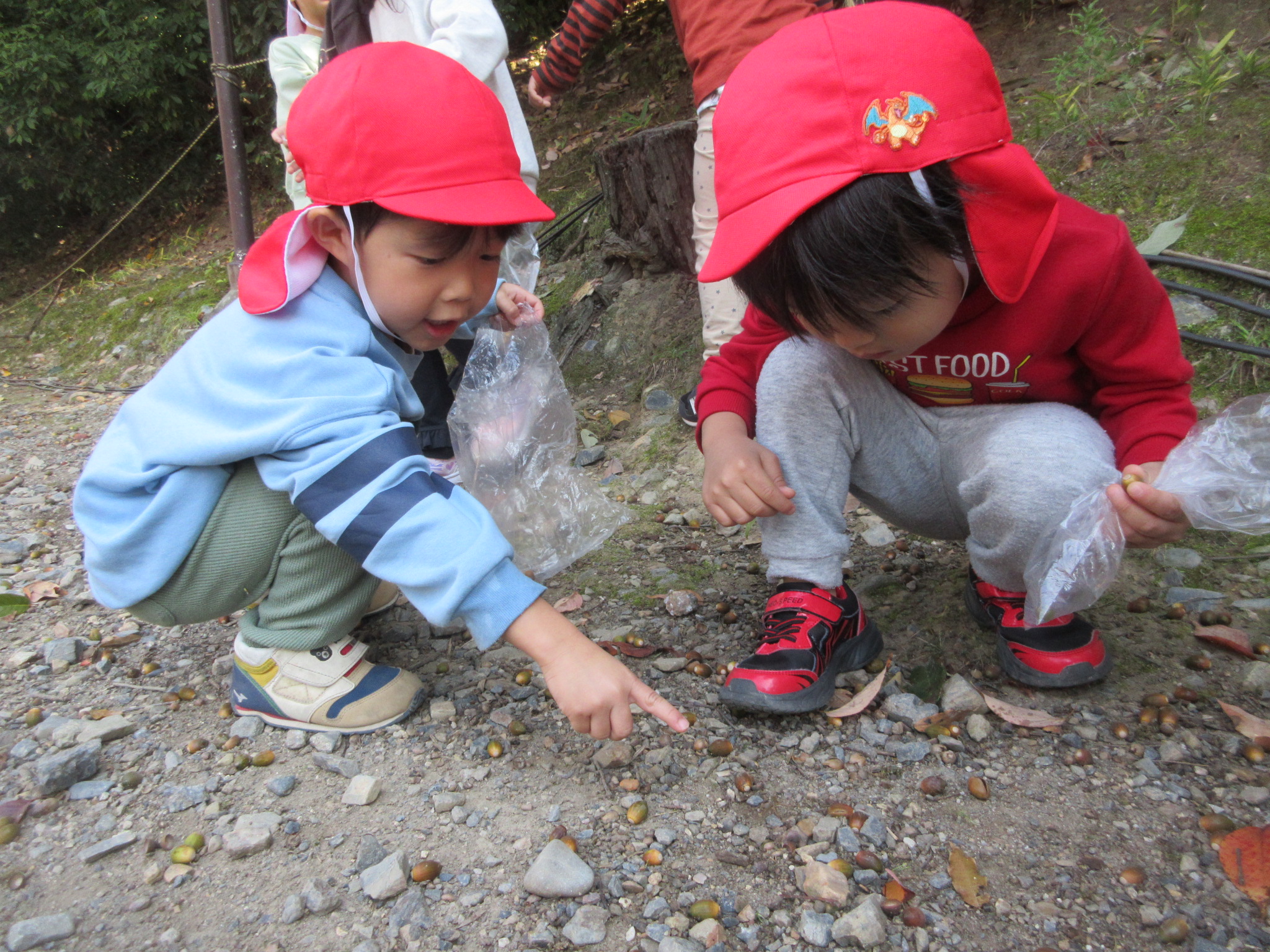 ほら、ここにもあるよ（さくら、４歳児）