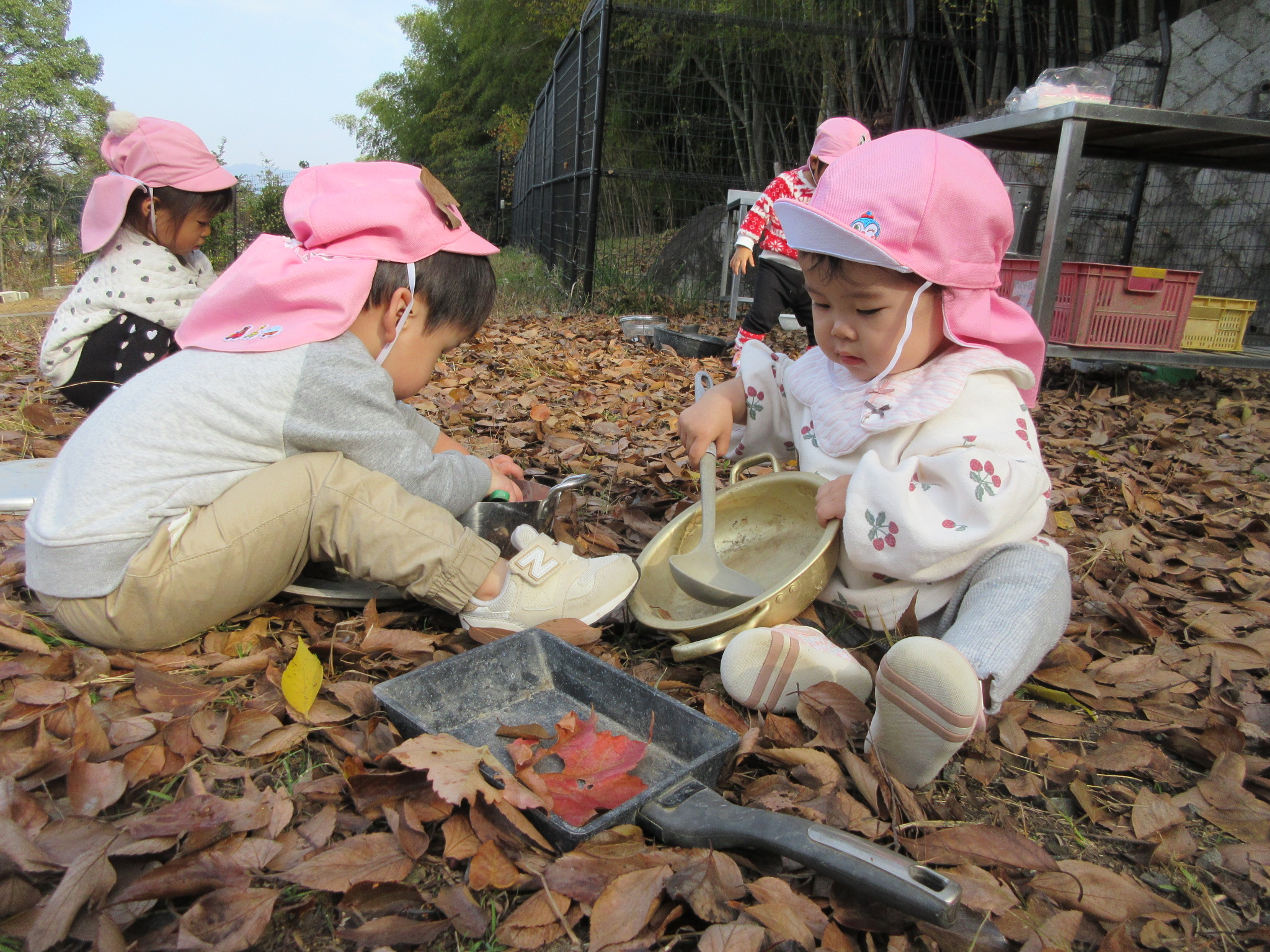 カサカサいうよね🍂（うさぎ０歳児、１歳児）