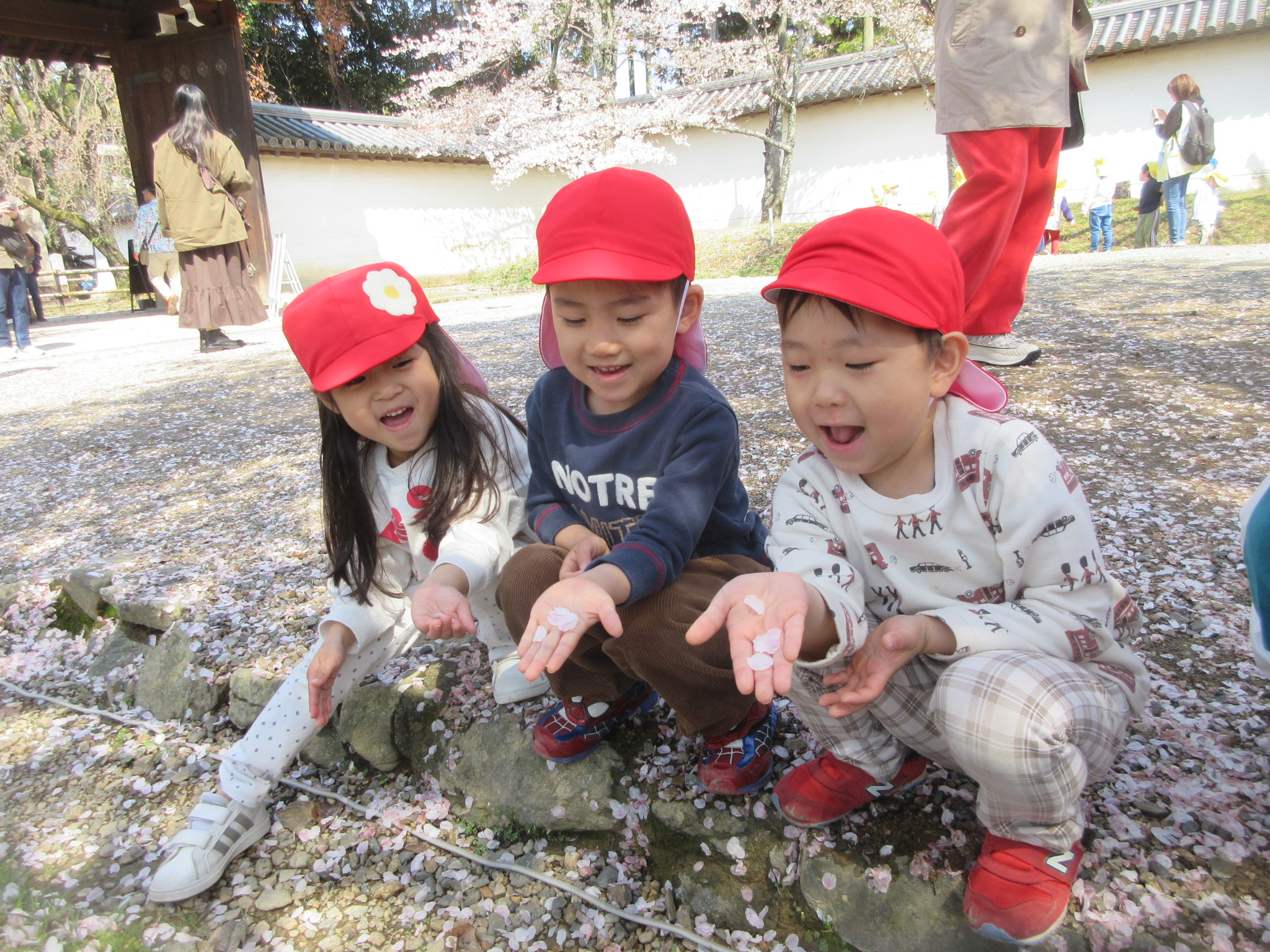 ひらひらはらはら（さくら、４歳児）