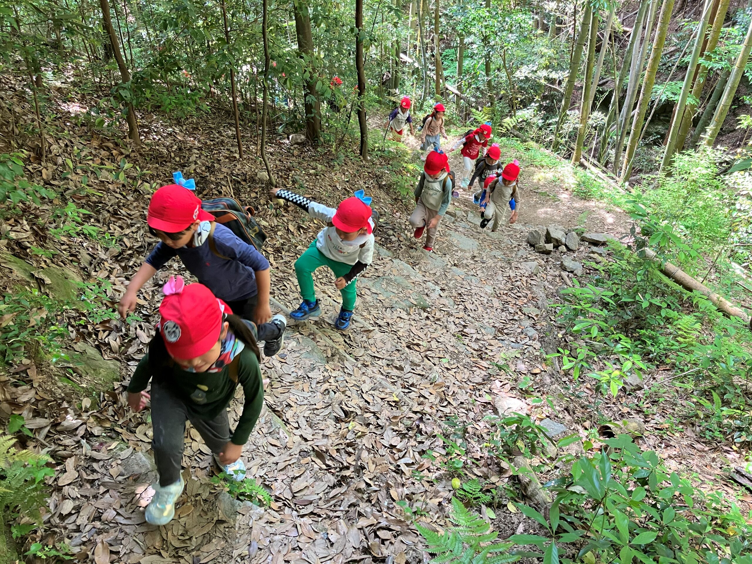 天王山に登りました☺【5歳児：ゆり組】