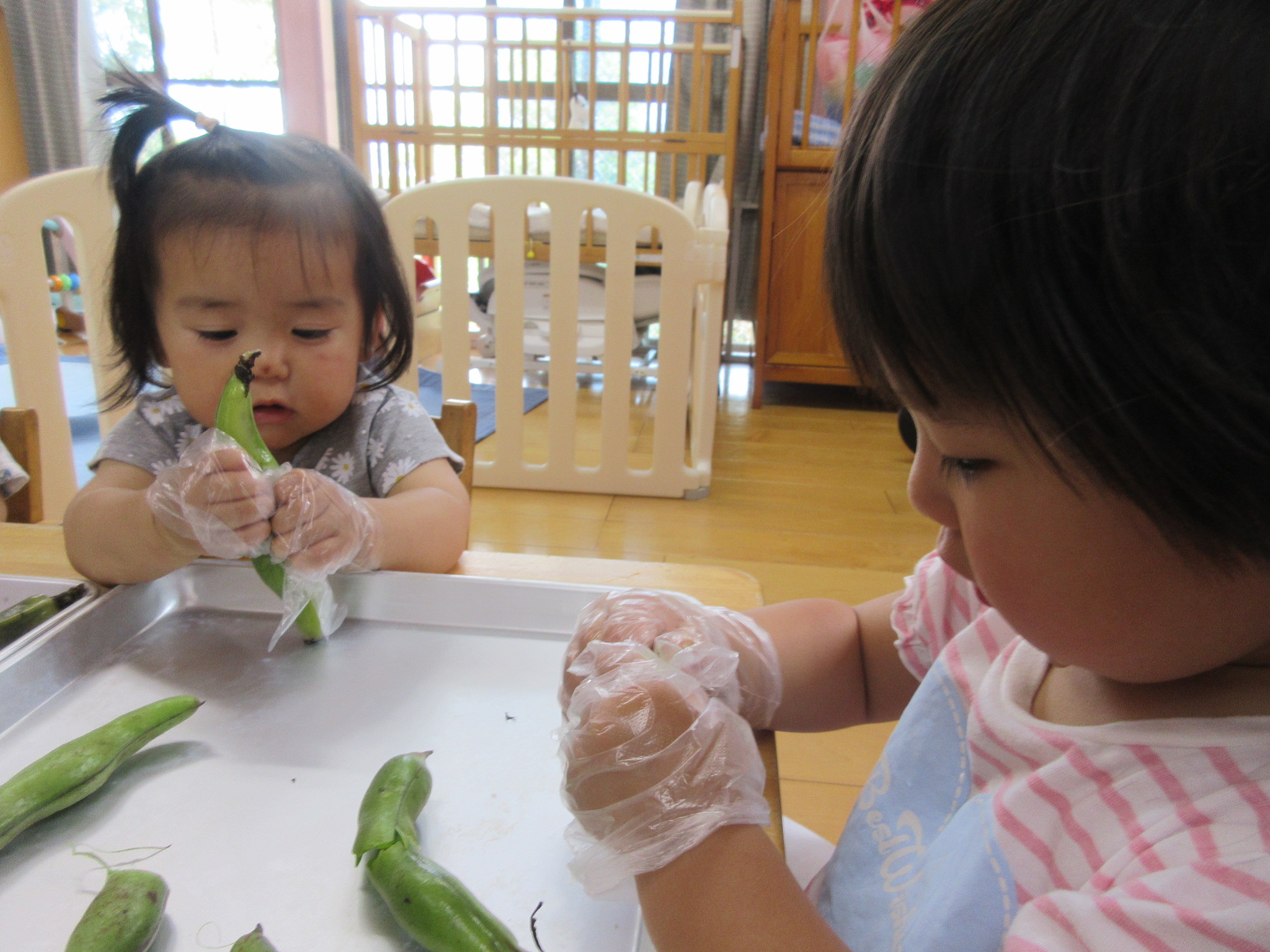 おっきいお豆だね！（うさぎ０歳児、１歳児）