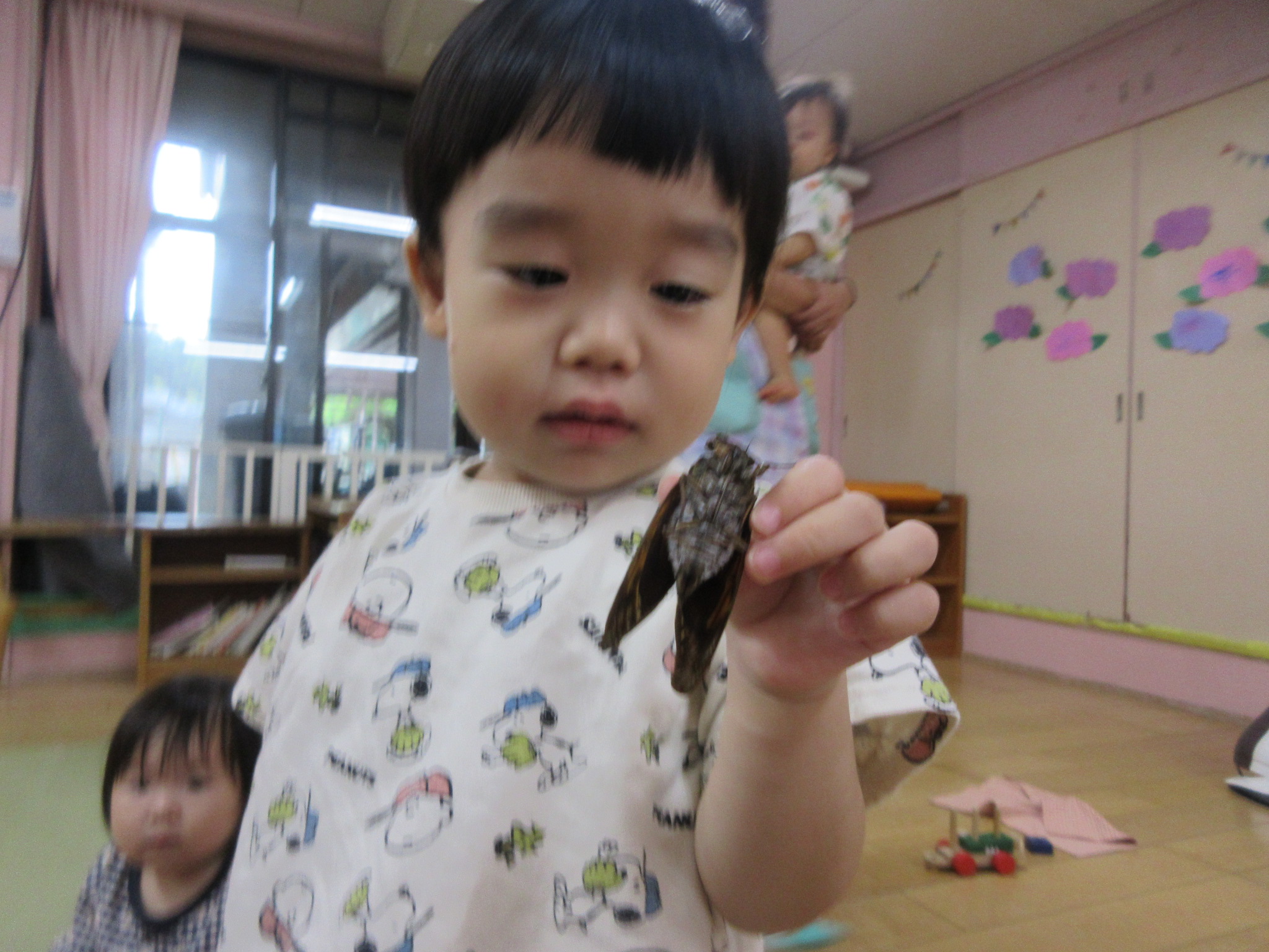 写す方もドキドキしてぶれちゃった！（うさぎ０歳児、１歳児）